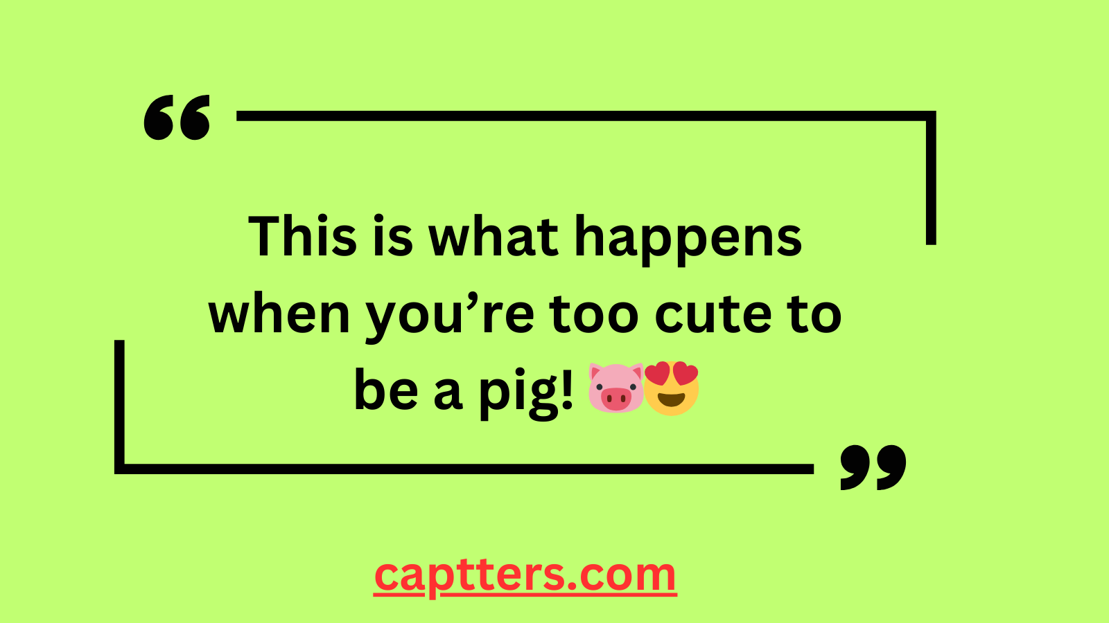 Pig Captions for Instagram