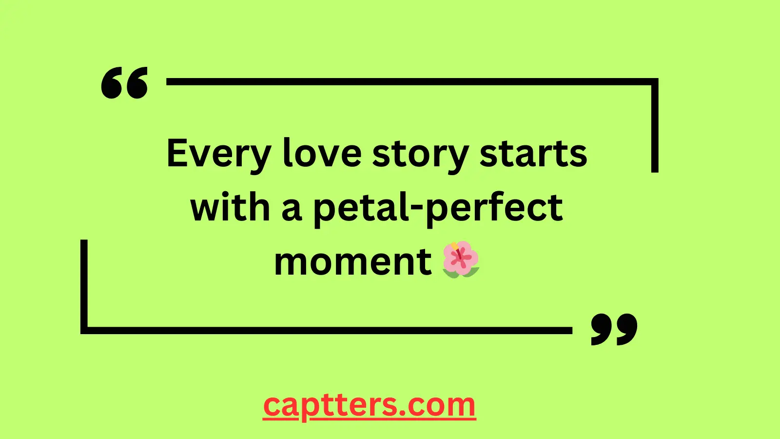 Wedding Decoration Captions for Instagram