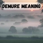 Demure Meaning