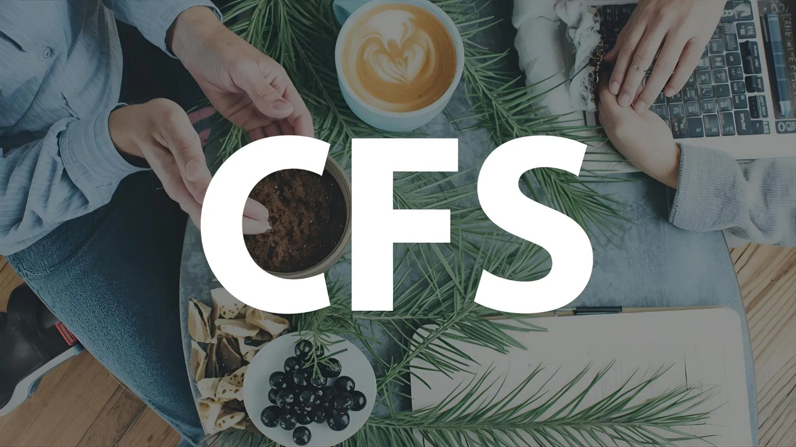 CFS Meaning Slang
