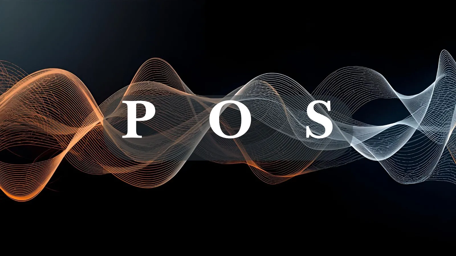 POS Meaning